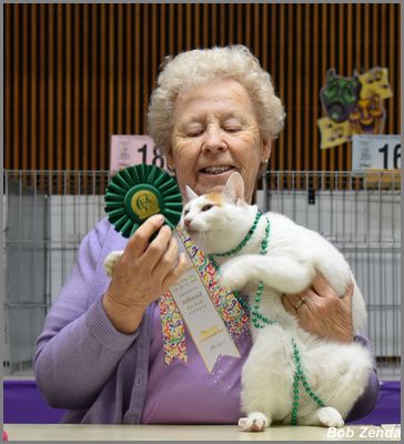 Mitsy - Best HHPet